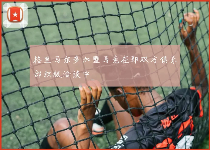 格里马尔多加盟马竞在即双方俱乐部积极洽谈中