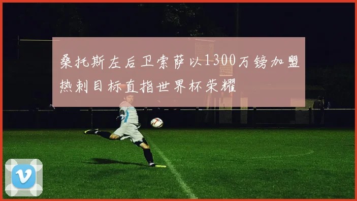 桑托斯左后卫索萨以1300万镑加盟热刺目标直指世界杯荣耀